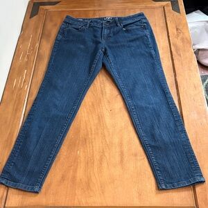 LOFT Modern Skinny Blue Jeans Size 8P